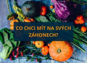 Co chci mít na svých záhonech??
