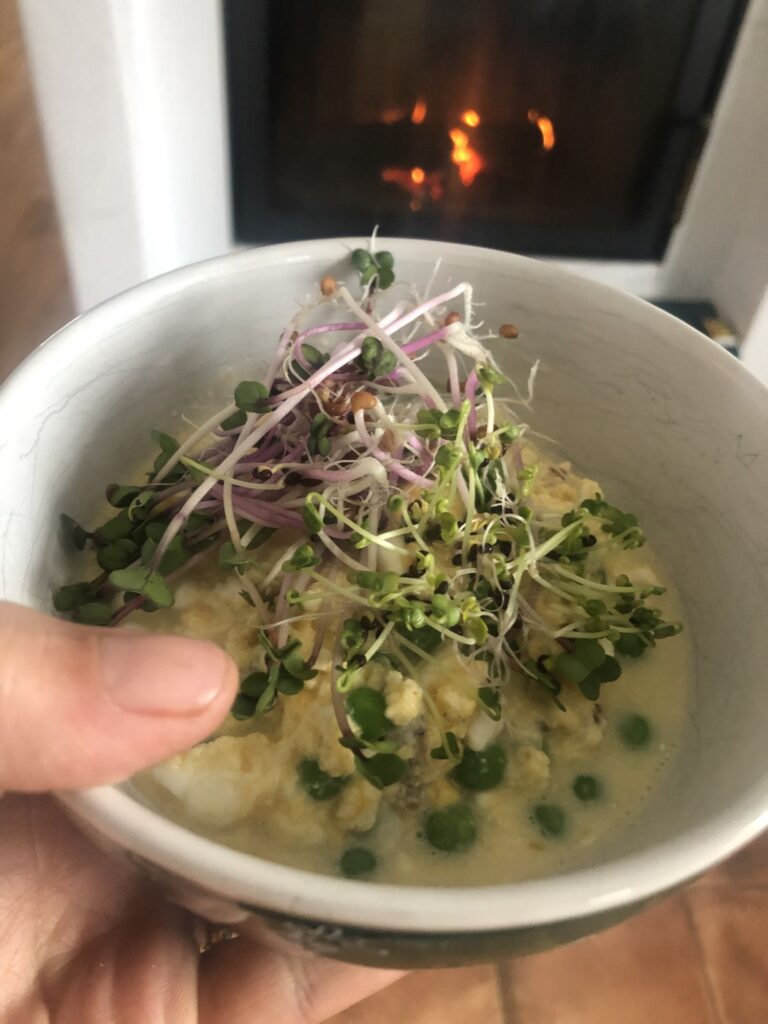 klíčky jako zimní jídlo plné energie