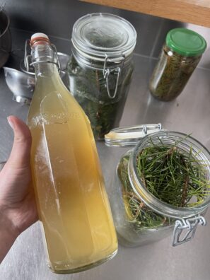 kvašená limonáda zimní z jehličí