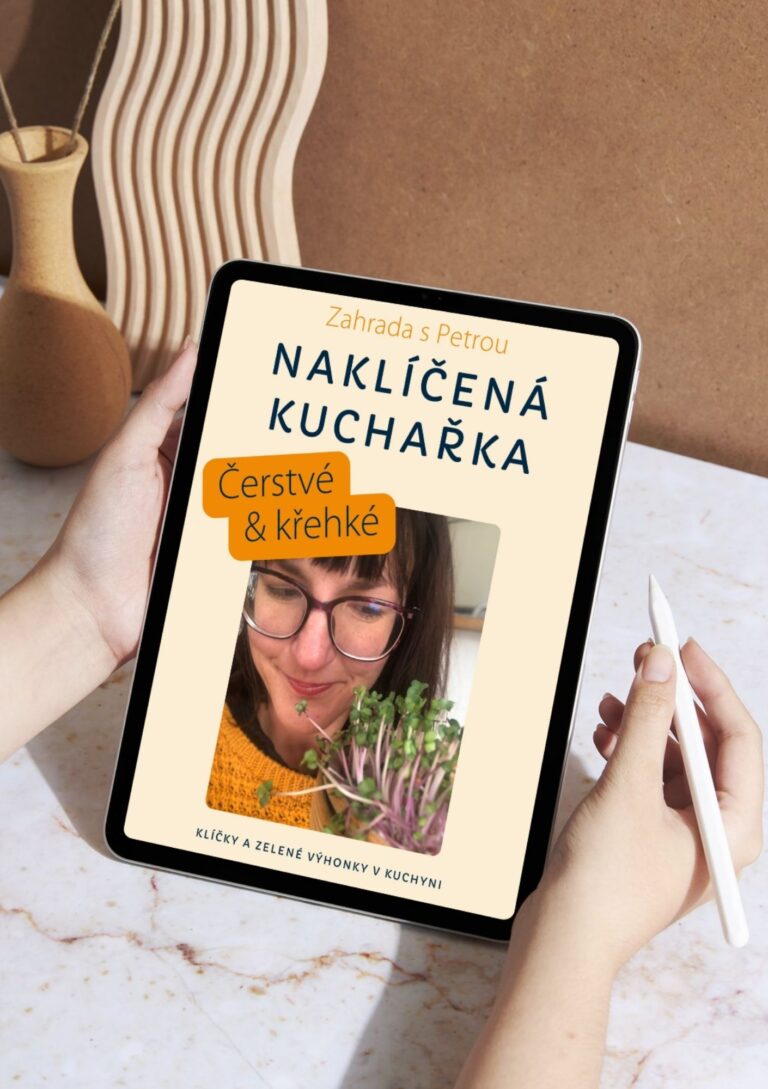 naklíčená kuchařka na tabletu