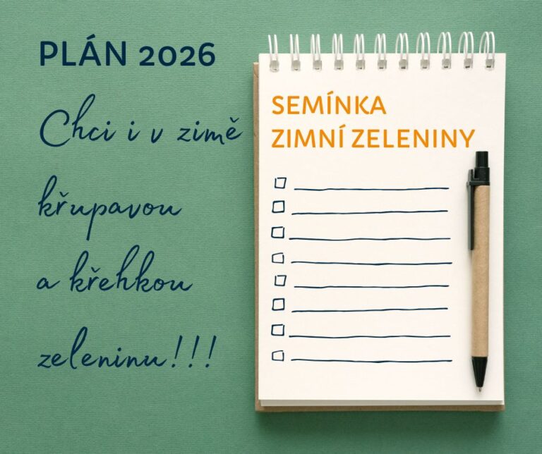 Chci seznam semínek zimní zeleniny
